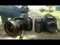 Canon 5D Mk3 vs Mk2 (Same Price Kit) - Which One is Better?