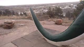 Dinosaur Park!