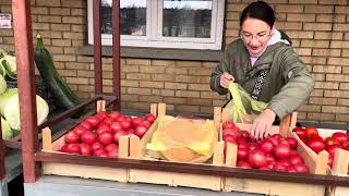 картинка: Осенний рынок в Бачка Топола. Заброшенный дворец Фантаст #жизньвсербии #иммиграция  #смешныекотики