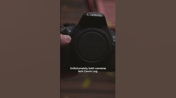 Can They Do 1080p @ 60fps? Canon 77D vs Canon 1200D (Rebel T5)