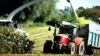 Ensilage de mais 2012