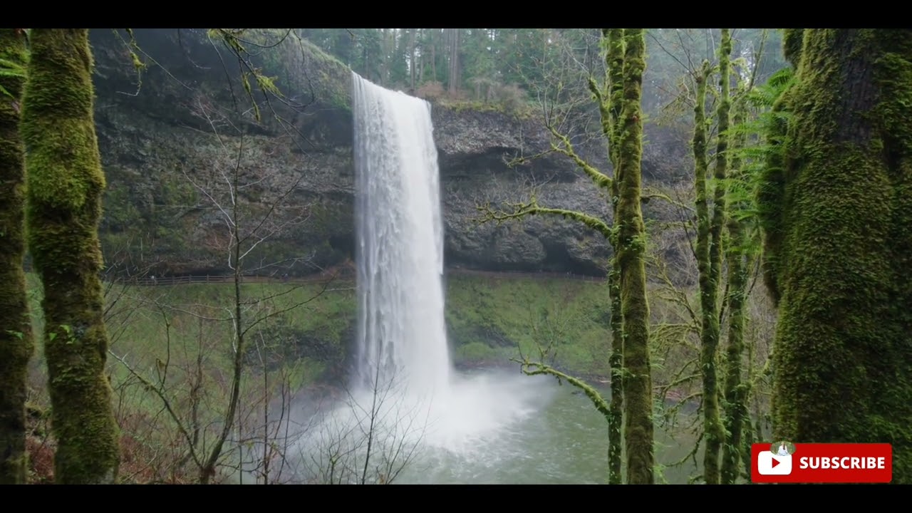 "Serene Slumber: Guided Meditation for Deep Sleep and Relaxation"