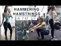 Hammering hamstrings in the 6ix  full workout  toronto vlog