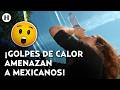 ¡Que el calor extremo no te mate! Así puedes evitar deshidratarte y tener un golpe de calor