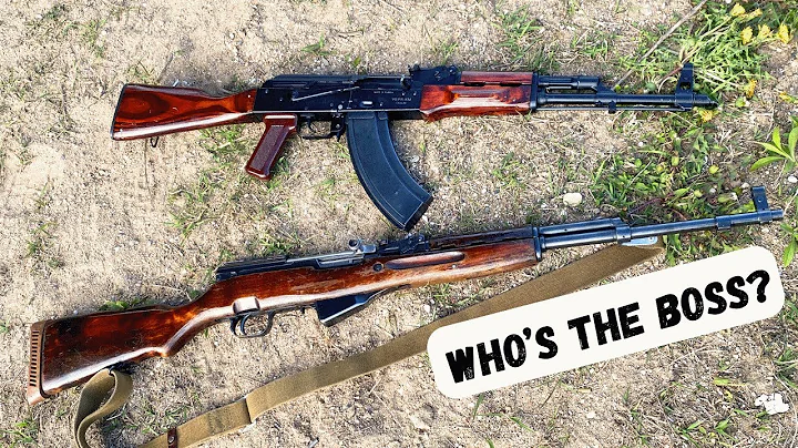 AK vs SKS - Comparison And Small Competition