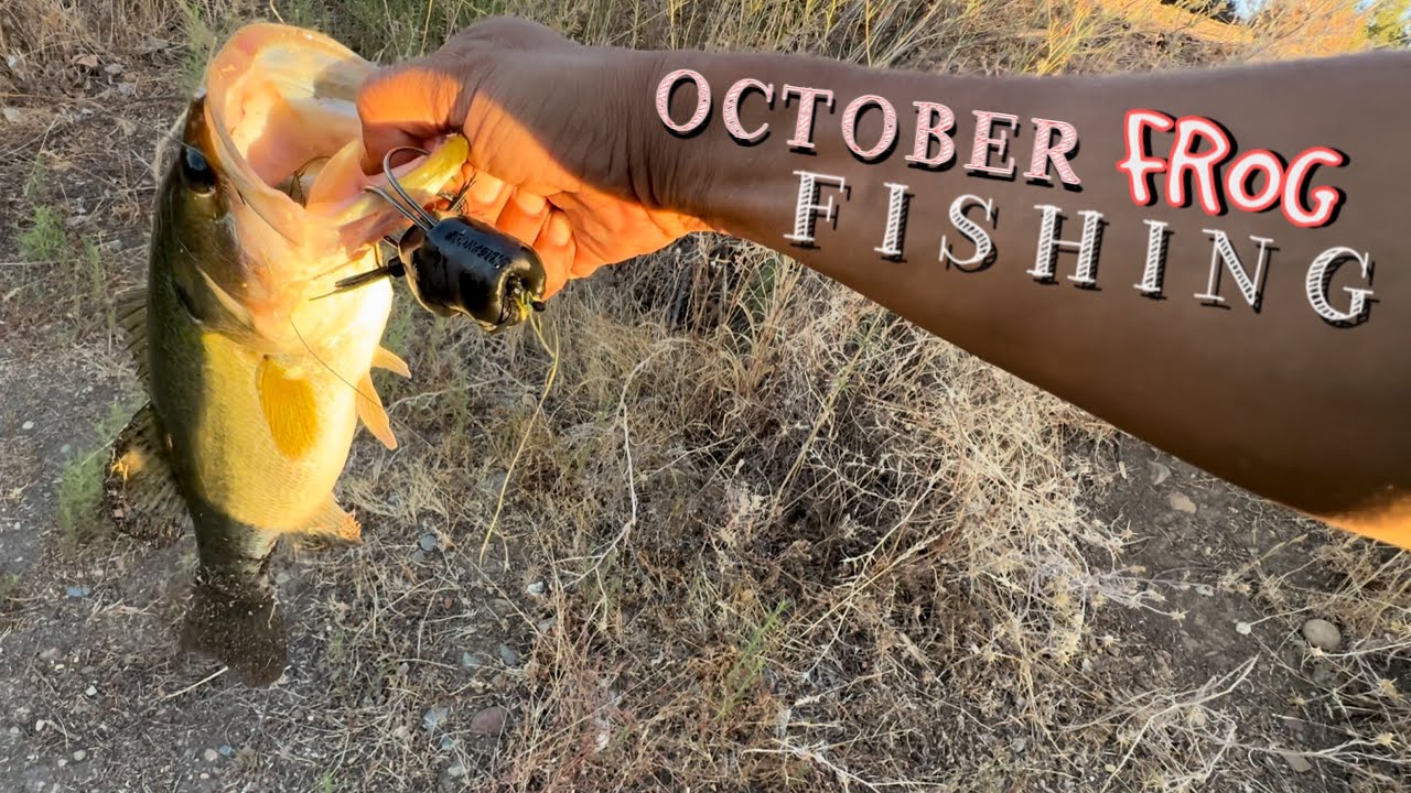 Early fall transition frog fishing for some nice pond bass….(Bank Fishing)
