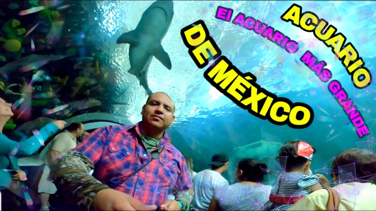 EL ACUARIO MÁS GRANDE DE MÉXICO (Acuario de Veracruz). - YouTube