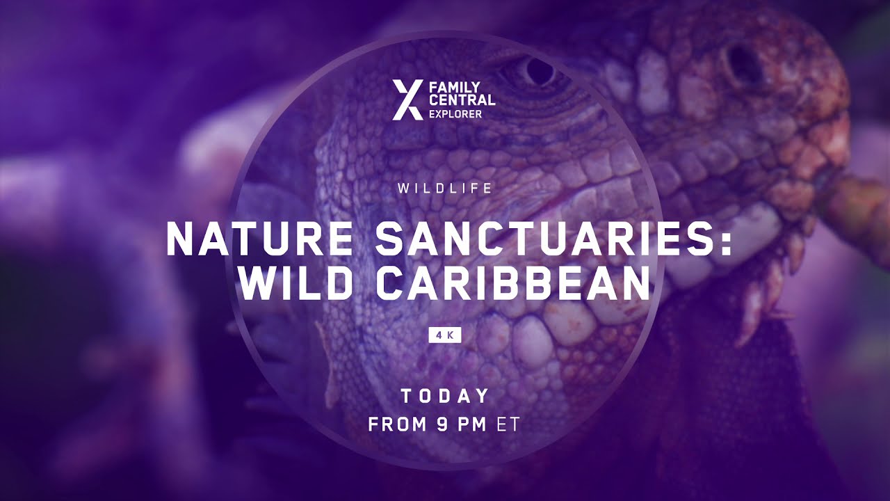 Nature Sanctuaries: Wild Caribbean