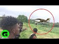 Youtube Thumbnail title
