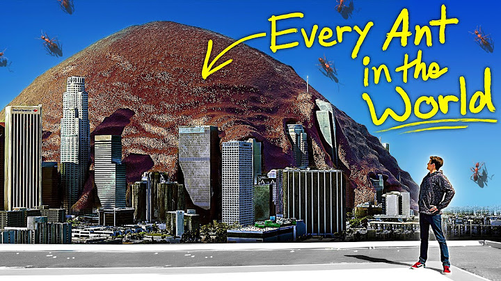 VFX Artist Reveals the TRUE Scale of ANTS!!!