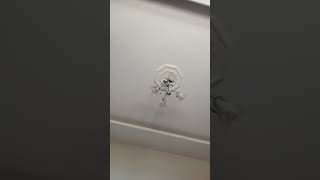 Aga Be Bu Lamba Bizden Ne Çekti 5 Yıl Oldu Be