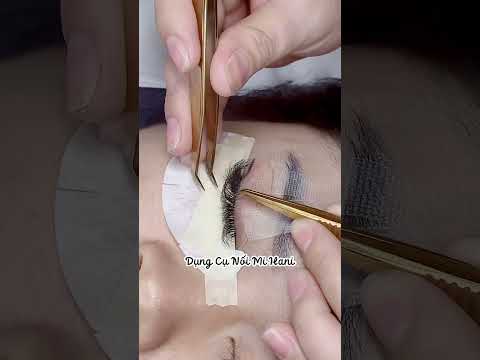 Thợ nối mi