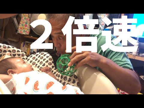 【忙しい人用の２倍速】米津玄師を口笛演奏し、生後2ヶ月女児をあやす
