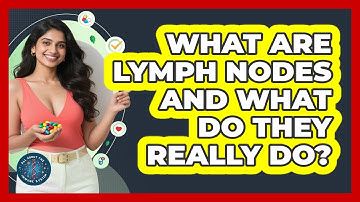 What Are Lymph Nodes And What Do They Really Do? - All About the Immune System