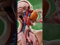 This video may be downloaded and reused. #astronomy #human #health