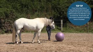 How to train a better bond with you horse with Emma Massingale | Horse&Rider