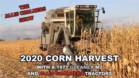 Allis Chalmers Show: 2020 Corn Harvest With A Gleaner M2 And Allis Chalmers Tractors