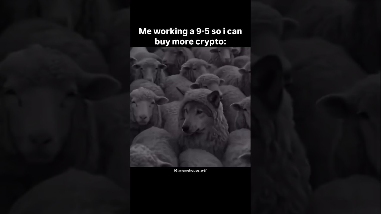 Me working 9 - 5 so I can buy more crypto - YouTube