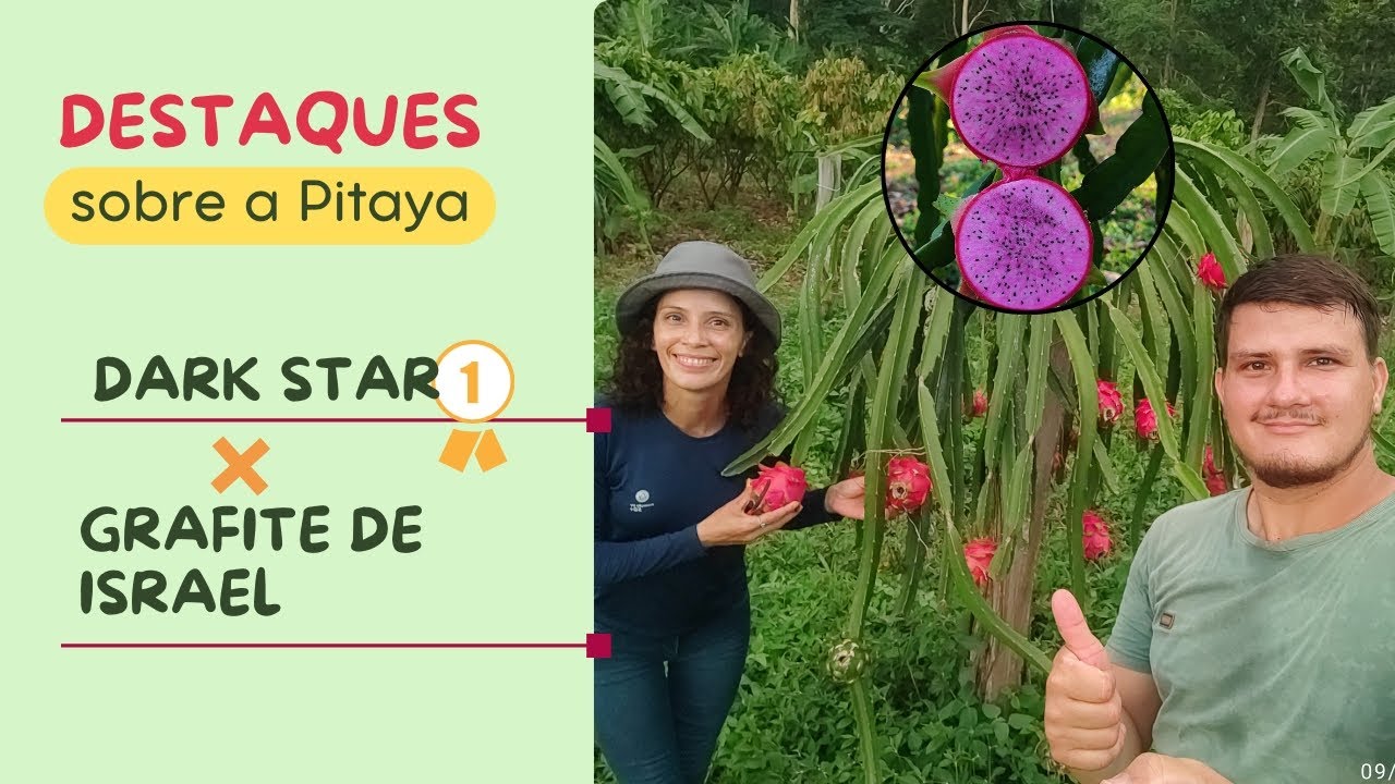 Vale a pena conferir: Pitaya Dark Star ( nossa queridinha) e Grafite de Israel.