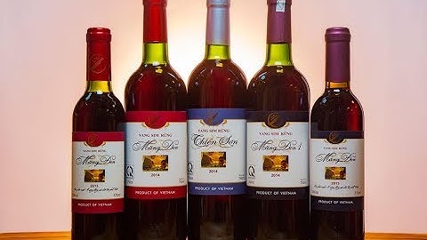 Quà tặng từ Đại Ngàn - Rượu Vang Sim Rừng Măng Đen