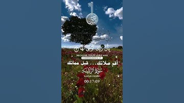 تلاوة خاشعة عطرة مباركة جميلة عذبة للشيخ سعد الغامدي سورة الزلزلة