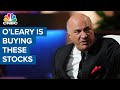 Why Kevin O'Leary is buying more amid a possible market correction