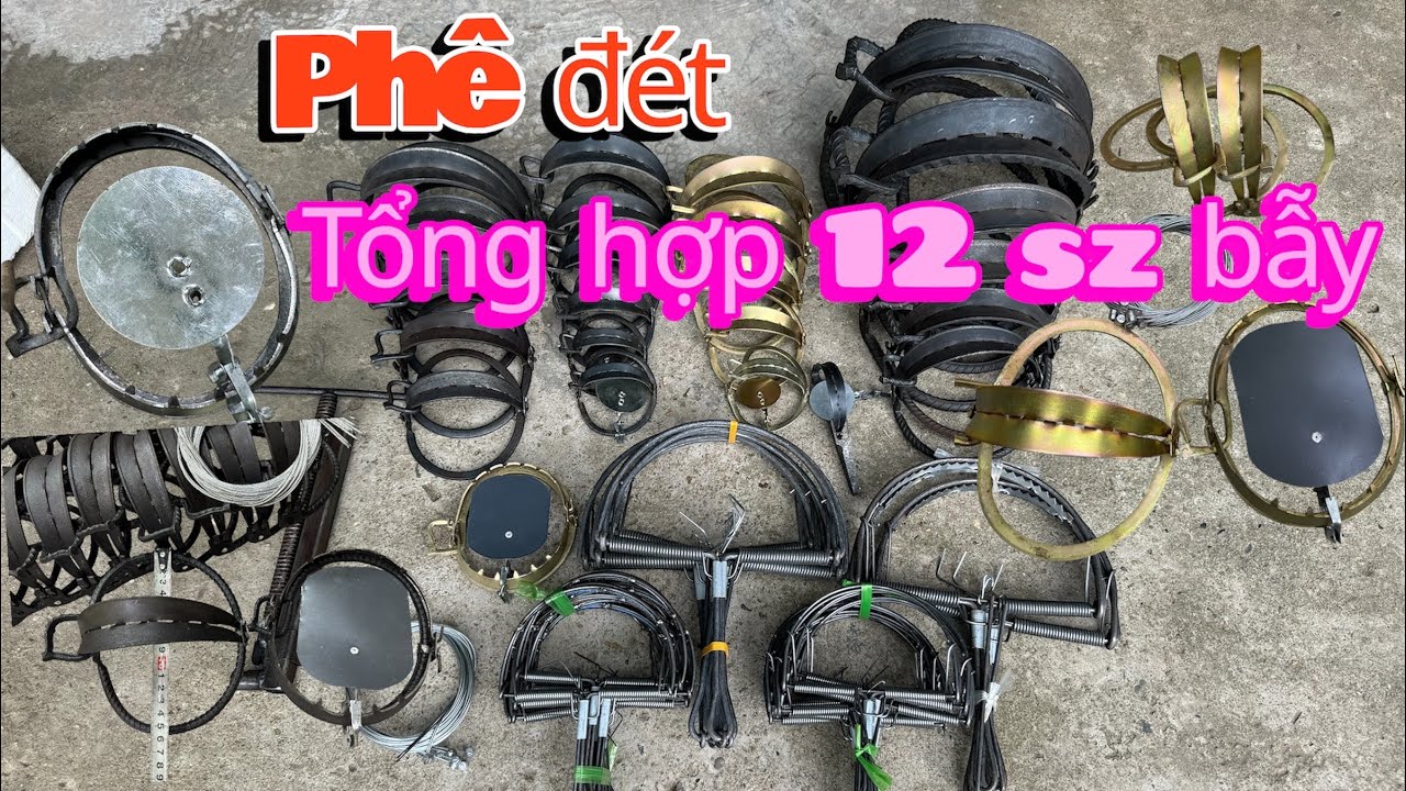 Bẫy cạm kiềng - bẫy kẹp ( bẫy lò xo ) TỔNG HỢP 12 sz cạm bẫy loại 1,loại 2 ,loại thép xoắn, chống rỉ