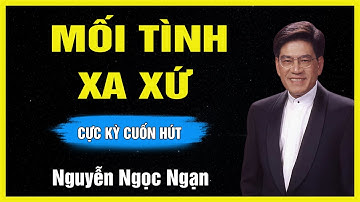 Truyện Hay Nguyễn Ngọc Ngạn - MỐI TÌNH XA XỨ - Đọc Truyện Đêm Khuya