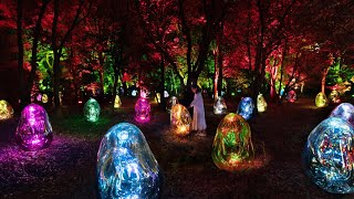 Walking Through a Magical Neon Forest ✨ | teamLab Botanical Garden Osaka