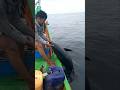 Strike Tuna Monster Laut Aceh #fishing #tunafishing #mancingtuna