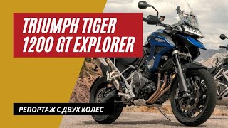 Triumph Tiger 1200 GT Explorer 2022 | Цель - поджарить Гуся | Мотоциклы для Взрослых 🇷🇺