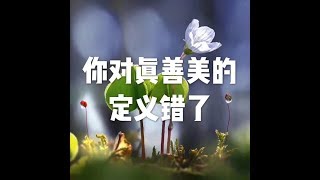 201812 你对真善美的定义错了50960