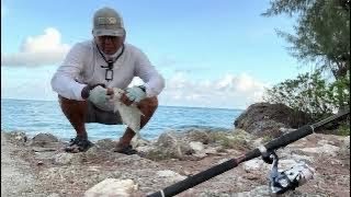 back to our old fishing spot/ landed 2 trevally! (Saipan,USA🇺🇸)