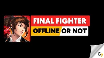 Final Fighter game offline or online ?