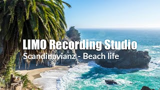 Scandinavianz - Beach Life 🌴 | Happy Tropical Vibes | (Creative Commons License)