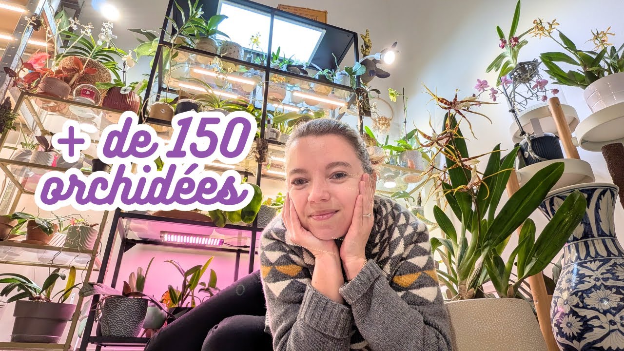 Bienvenue chez moi 🌿 Plant tour & collection d’orchidées