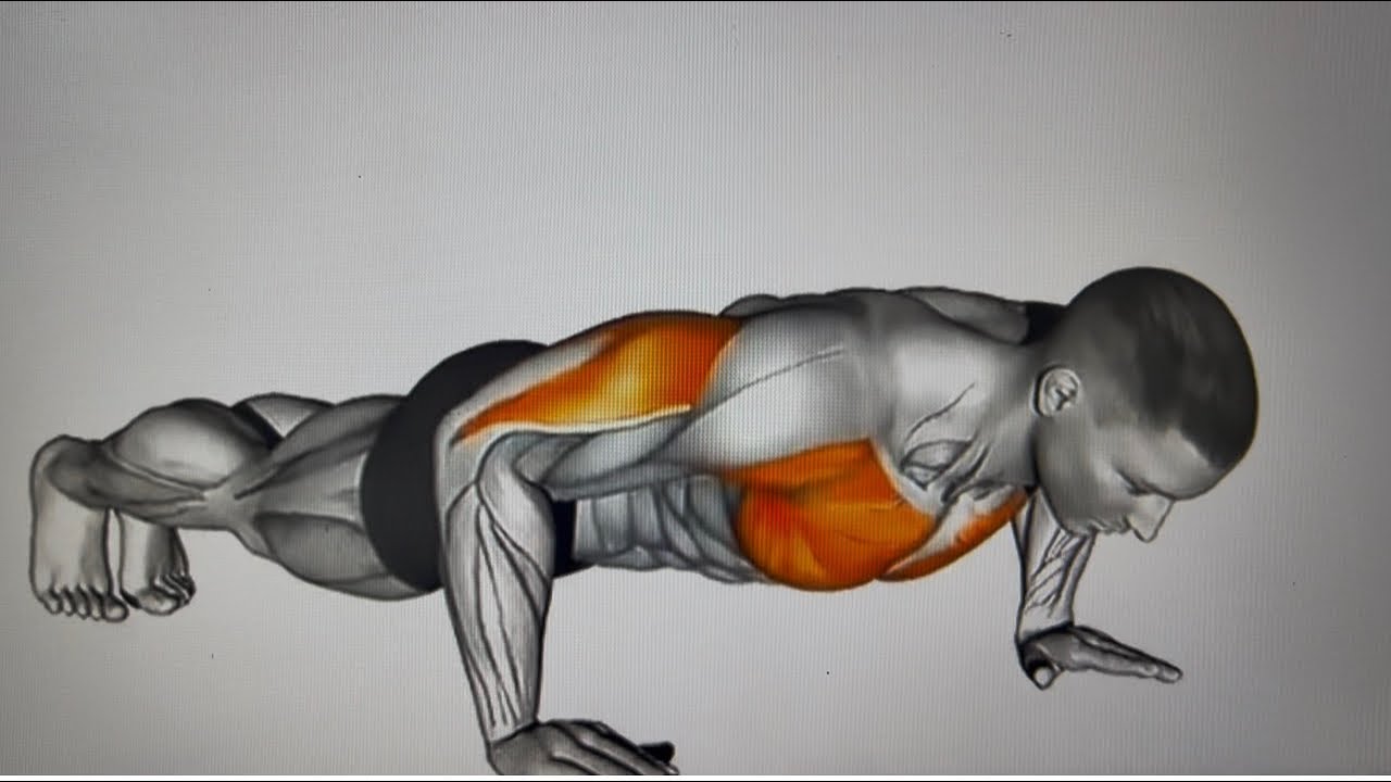 The best push up and abs workout for beginners