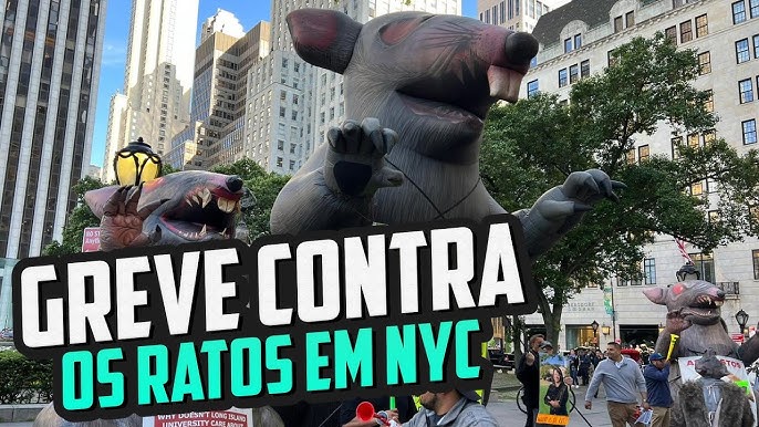 Nova York está cheia de Ratos #ratosemnovayork #curiosidades #foryou