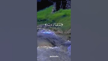 سورة الإسراء القارئ #ياسر_الدوسري #فلسطين#السعودية#المغرب#مصر#الجزائر#تونس#ليبيا#موريتانيا#اكسبلور