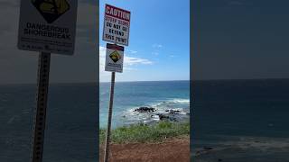 Downwinder Mecca Maui North Shore Maliko Run #maui #hawaii