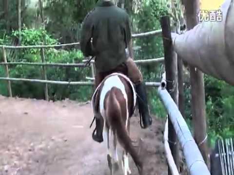 guy are riding and whipping poor pony