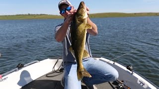 Awesome South Dakota Walleye Bite in "Bay of Pigs" Part III
