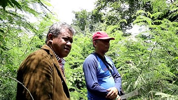 Mengunjungi 5 dari 20 Bunker peninggalan Jepang di Desa Ujung Piring - Bangkalan