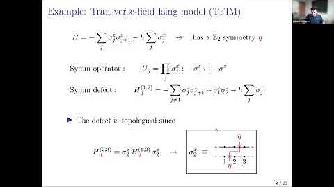 Sahand Seifnashri (IAS): Lieb-Schultz-Mattis anomaly as an obstruction to gauging