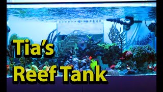 Tia's Mixed Reef Tank Takeover + Nyos Fish Trap
