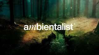 The Ambientalist - The Hidden Path
