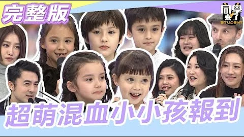 超萌混血小小孩報到!可愛到想來場異國戀!｜2023.12.28班傑、楊皓如、Oliver&Nicky、Oscar&Didi、Isla&Zoe、Lylia&Karen、Nuala&米爸【同學來了完整版】 - 天天要聞