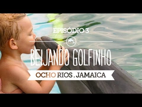 Passeio com Golfinho na Jamaica - Ocho Rios 🐬Viagem com Crianças