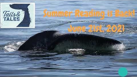 Summer Reading Video 2021
