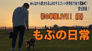 【新企画】もぷの日常LIVE ！犬部屋 看板犬